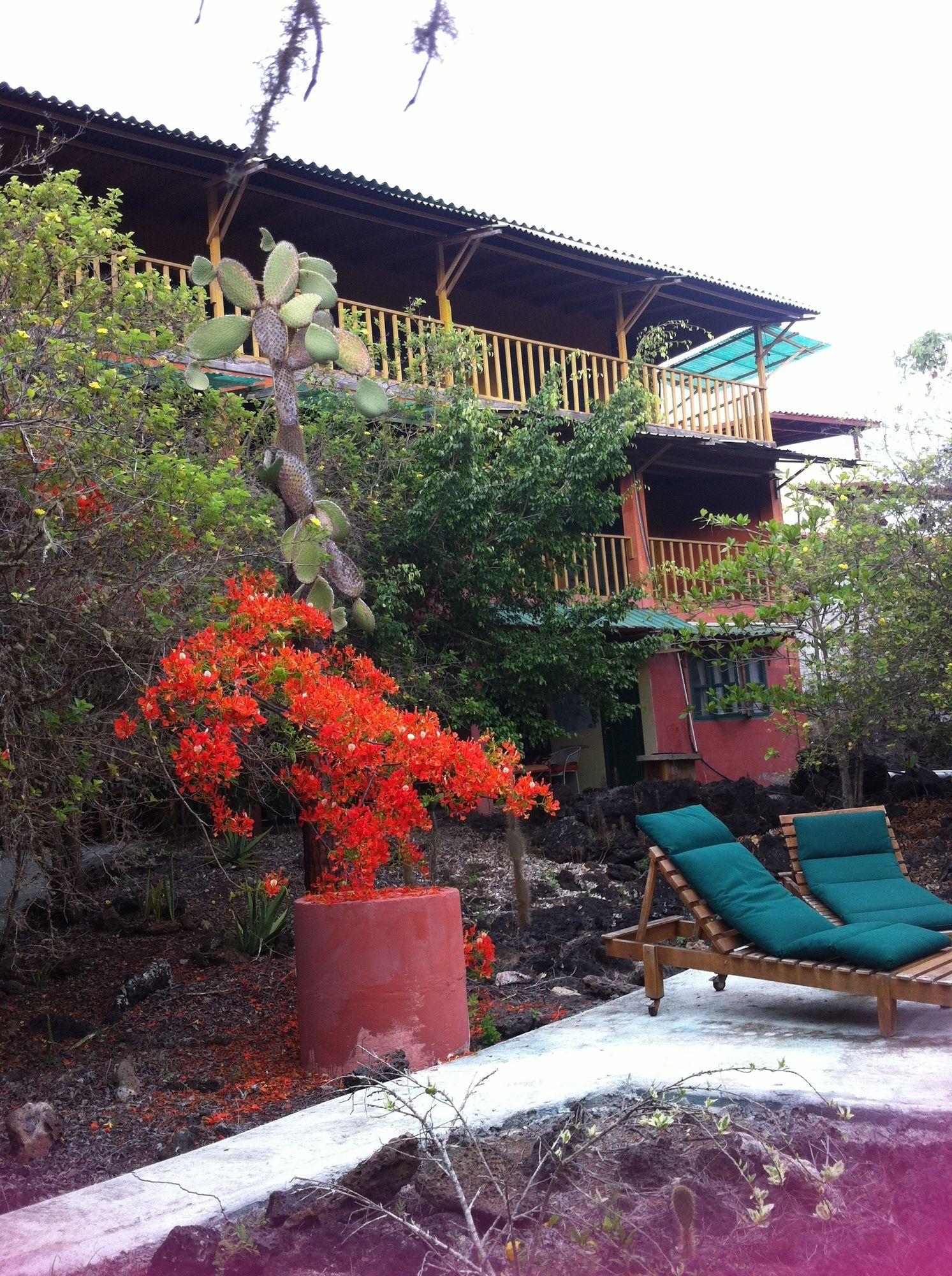 Galapagos Chalet Puerto Ayora  Buitenkant foto